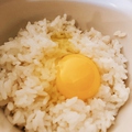 料理メニュー写真 契約卵の玉子かけご飯