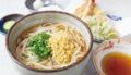 料理メニュー写真&nbsp;天ぷらうどん (単品)