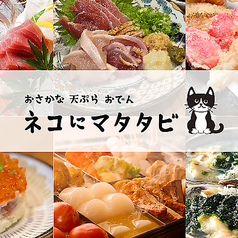 ネコにマタタビ名駅店特集写真1