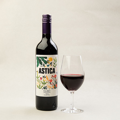 トラピチェアスティカ マルベック