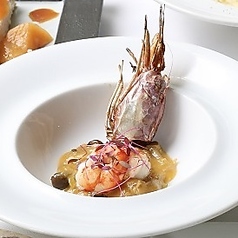 - poisson -