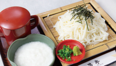 とろろうどん (単品)