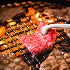 好きな肉を好きなだけ♪ご飯と一緒に最高の一杯をどうぞ