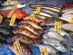 魚貝三昧 彬の外観3