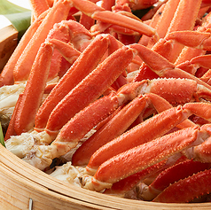 パームツリー 本厚木のコース写真