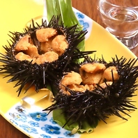 旬の食材を使用した料理たち。