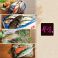 餃子の通販サイト(茨城県)