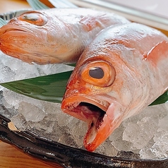 海鮮小料理　うおごころのコース写真