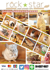 小動物カフェ ROCK STAR ロックスターのコース写真