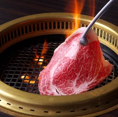 焼肉力 YAKINIKU RIKI しらさぎ特集写真1