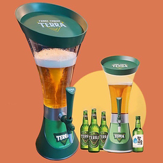 ソメク ver. TERRA