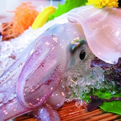 とっとっと酒場 もものすけの特集写真