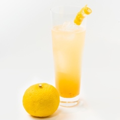 柚子プレミアムハイボール