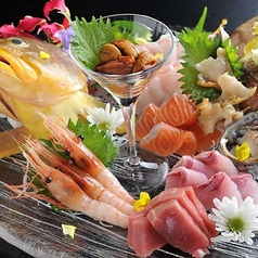 魚桜 咲 saki さきの特集写真
