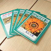 絵日記は自由に書いてください