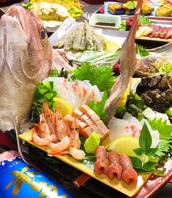 宮崎県産地鶏と新鮮な鮮魚が日本酒との相性抜群