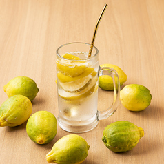 自家製手づくり熊本天草塩レモンサワー