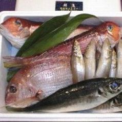 質のいい鮮魚の仕入れと管理を徹底しております◎