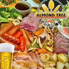 多彩な料理を楽しめるボリュームたっぷりコース