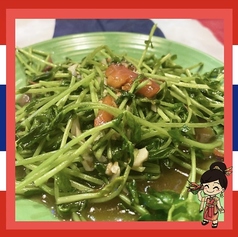 トウミョウ・パッ・ファイデーン