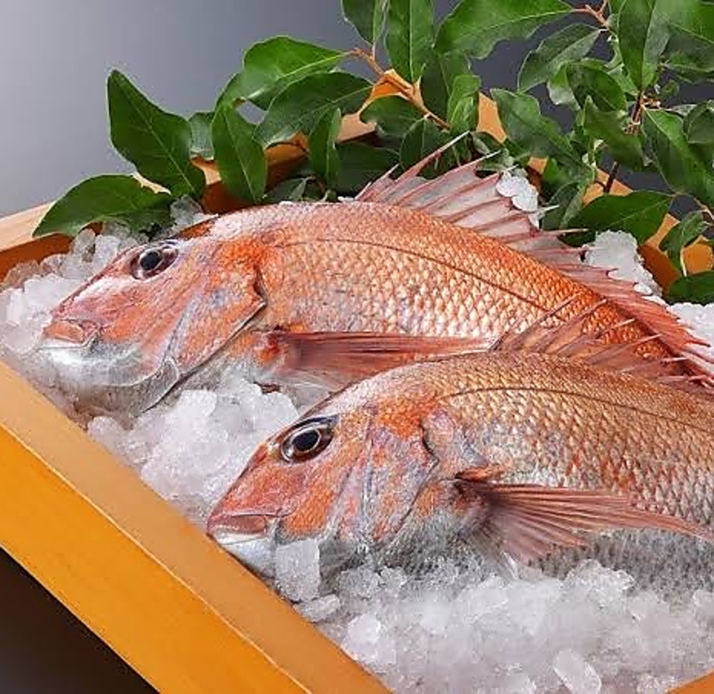 瀬戸内海でとれた旬の食材は、素材を活かしたメニューでご用意！お気軽にスタッフへお尋ねください☆