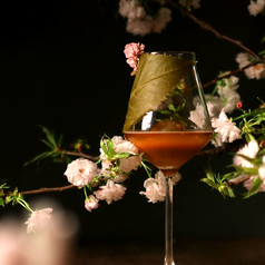 CERISIER～流麗なる夜桜～