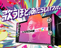 機種／LIVE DAM WAO