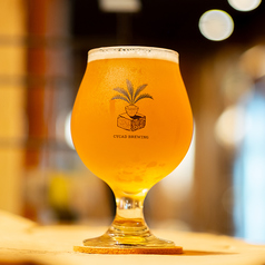 CYCAD BREWING（東京都・豊島区）『Mr.』American IPA