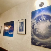 展示・ギャラリー 不定期開催中！　