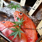 鮮度バツグン【魚】をご提供！刺身、寿司、焼魚、煮魚…　魚三昧をご堪能下さい♪
