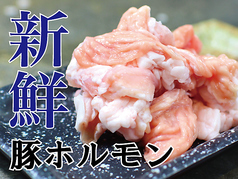 豚ホルモン