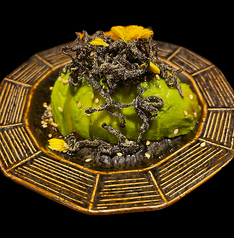 アボカド塩昆布