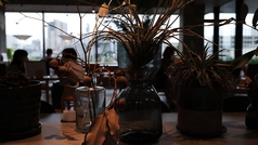 CAFEE OTTO ROOF TOP GARDEN カフェ オットー ルーフトップ ガーデンのコース写真