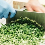 国産素材をたっぷり詰め込んだ『手作り餃子』は、肉と野菜の豊かな甘みをご堪能いただける逸品です。