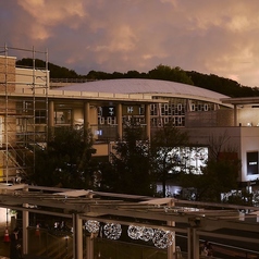 TT" a Little Knowledge Storeのおすすめポイント1