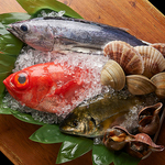 店内はワイワイとした雰囲気で、魚市場の感じがとっても楽しい☆
