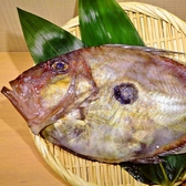 小田原鮮魚！こしょう鯛