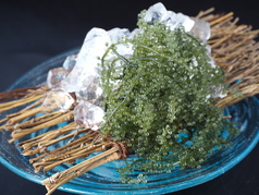 沖縄産レイミさんが育てた海ブドウ