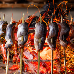北海道炉端焼き 篝 kagariのコース写真