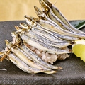 料理メニュー写真&nbsp;炙りめざし