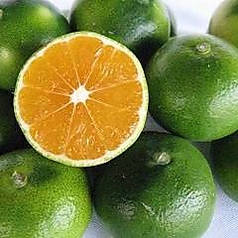 大人のための極上ドリンク