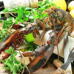 TENTO テント 袋町店のコース写真