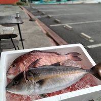 【仕入れのこだわり】朝市場直送！厳選された新鮮食材