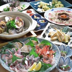 魚貝 鶏料理 日本酒 とよ新の特集写真
