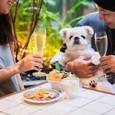 店内までワンちゃん連れ可能な愛犬家には嬉しいお店で、お昼からワインやビールが楽しめます♪