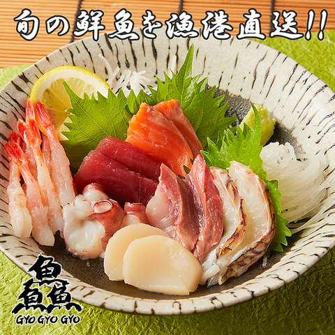 魚魚魚魚 魚魚魚 ぎょぎょぎょ 川崎駅前店(川崎/居酒屋)＜ネット予約可