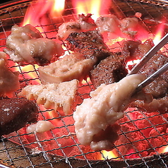 生ホルモン食べ放題&レモンサワー飲み放題 レモホル酒場 長崎鍛冶屋町店の特集写真