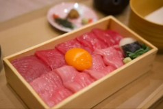 本鮪赤身・とろ二色お重