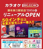 ビッグエコー BIG ECHO 調布東口駅前店の詳細