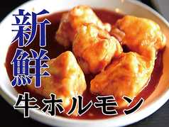 牛ホルモン